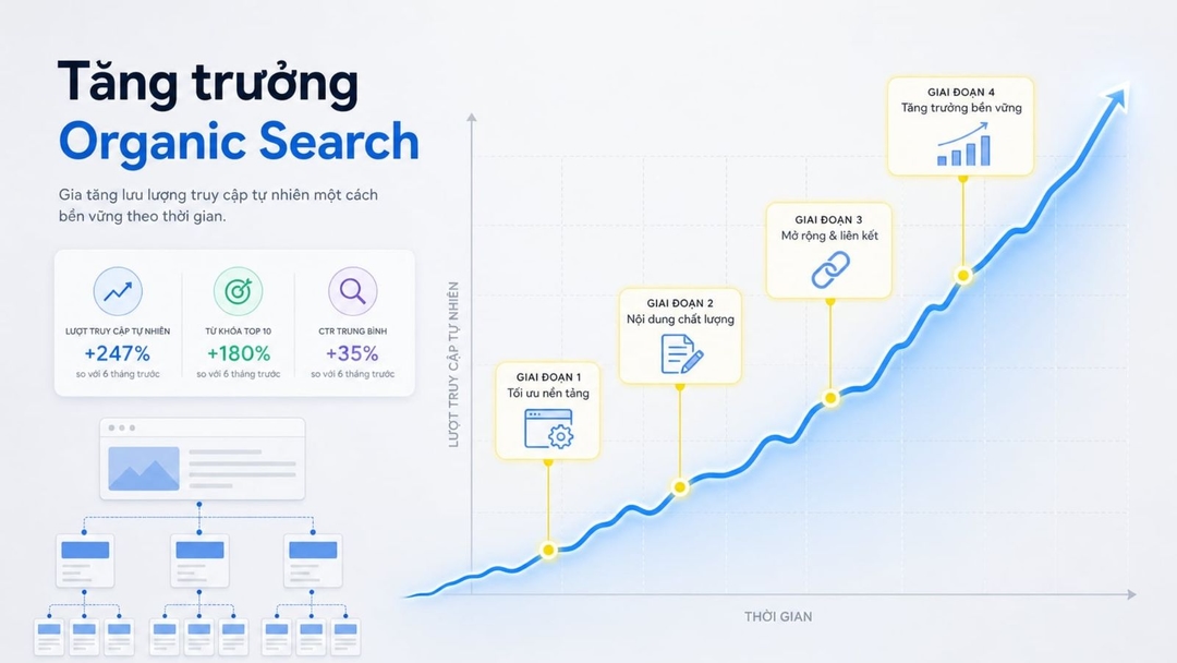 Organic search là gì? Cách hoạt động, theo dõi và tăng organic traffic