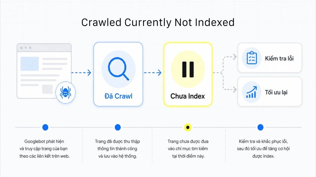 Crawled Currently Not Indexed: Cách xử lý đúng trên Google