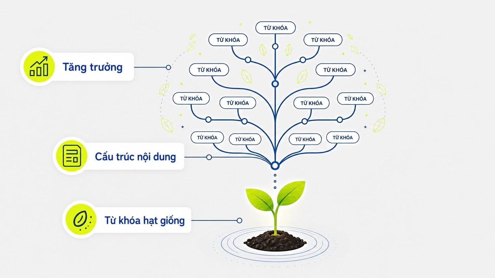 Seed keyword là gì? Cách hiểu đúng và tìm từ khóa hạt giống cho website