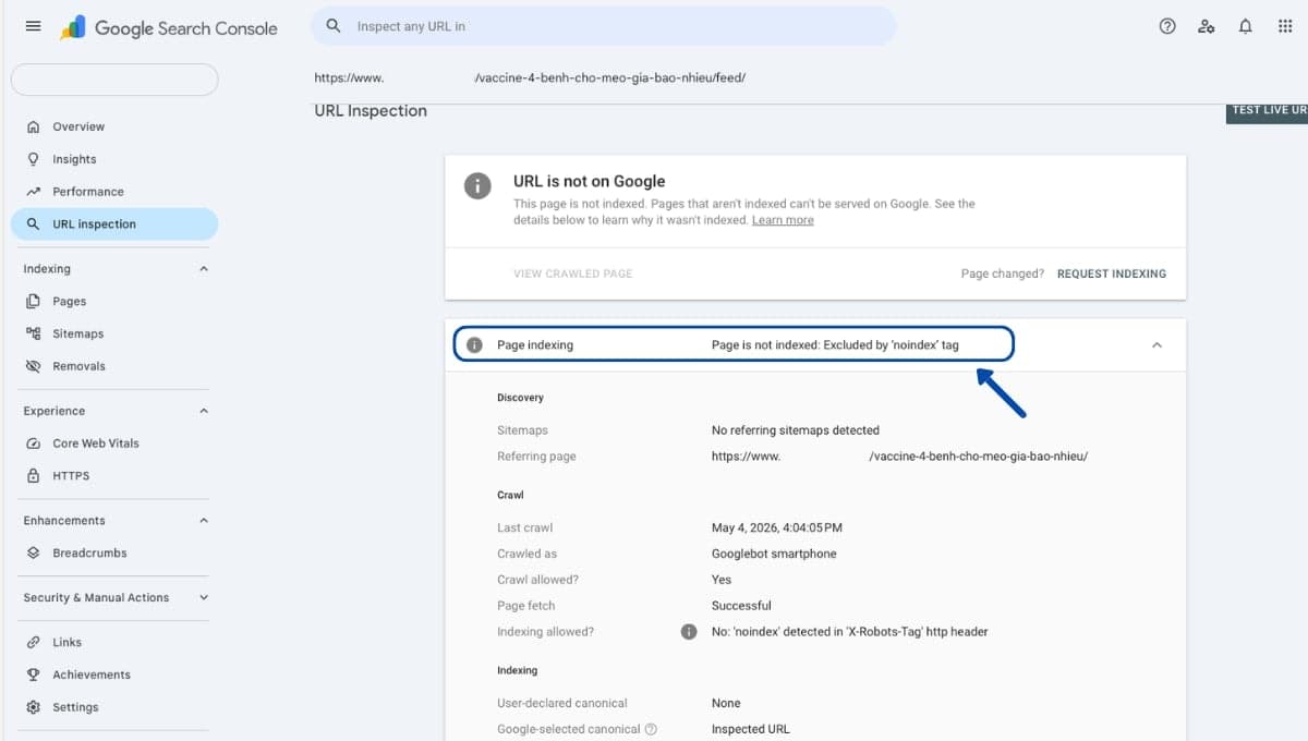 URL Inspection trong Google Search Console với trạng thái Excluded by ‘noindex’ tag