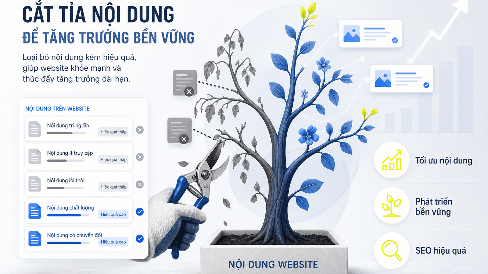Content Pruning Là Gì? Hiểu Đúng Trước Khi Bắt Đầu