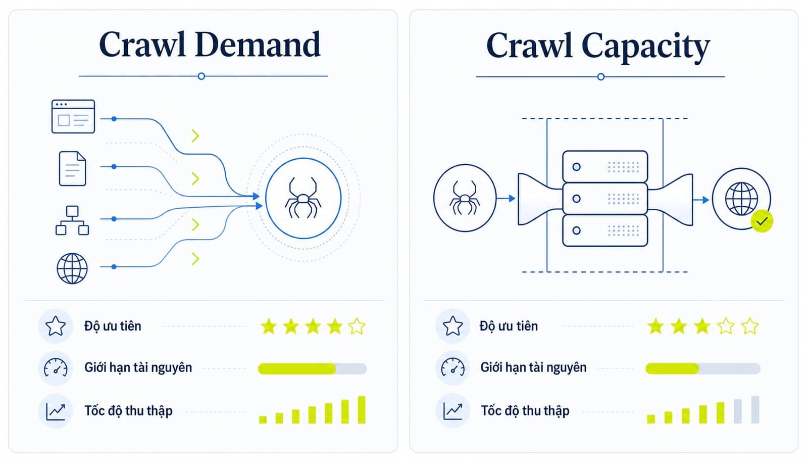 Crawl Budget là gì? Hướng dẫn tối ưu index website hiệu quả