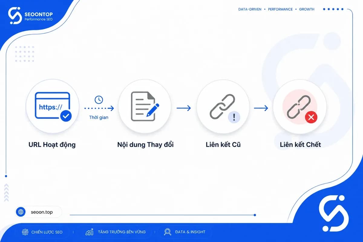 Sơ đồ link rot và quá trình liên kết mất hiệu lực theo thời gian