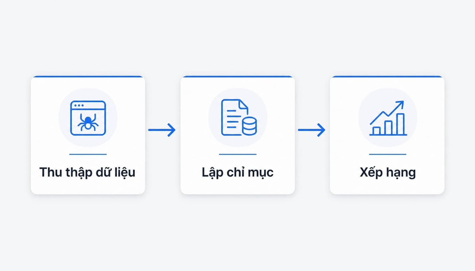 SEO là gì? Hướng dẫn tối ưu hóa công cụ tìm kiếm cho người mới