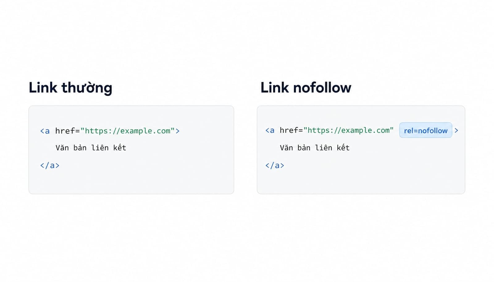 Ví dụ rel nofollow trong thẻ a HTML