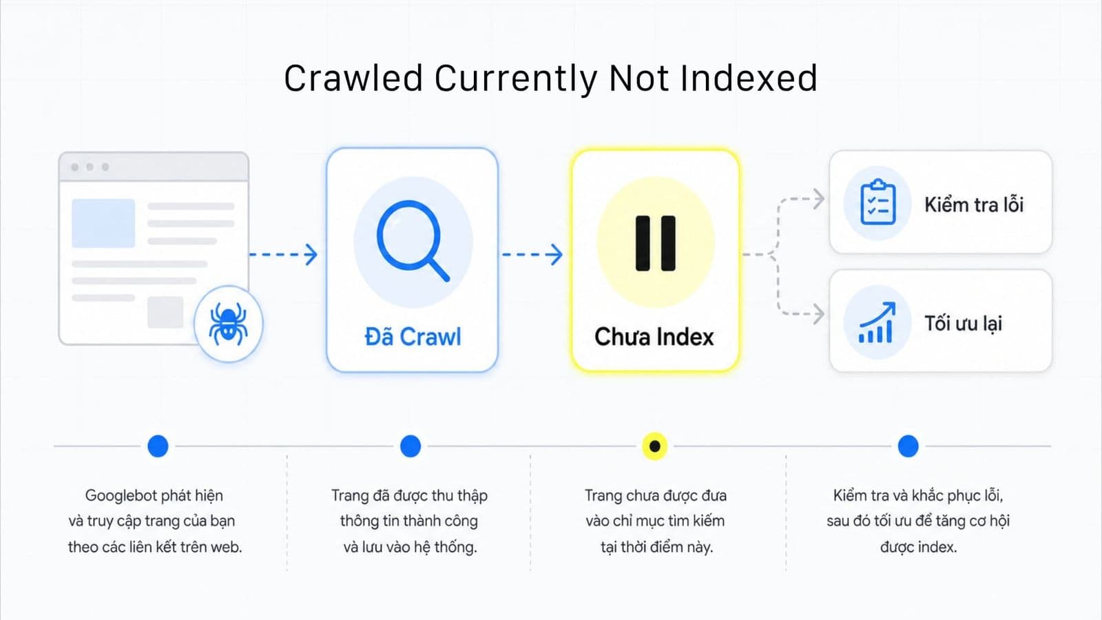 Crawled Currently Not Indexed: Cách xử lý đúng trên Google