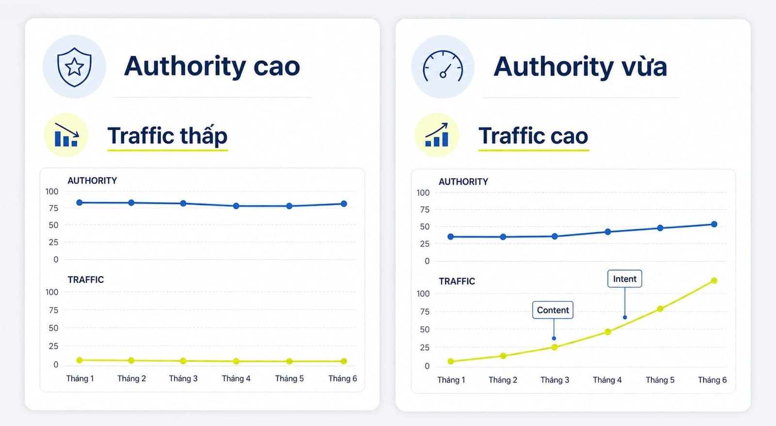 Website authority cao có thể giúp rank tốt hơn