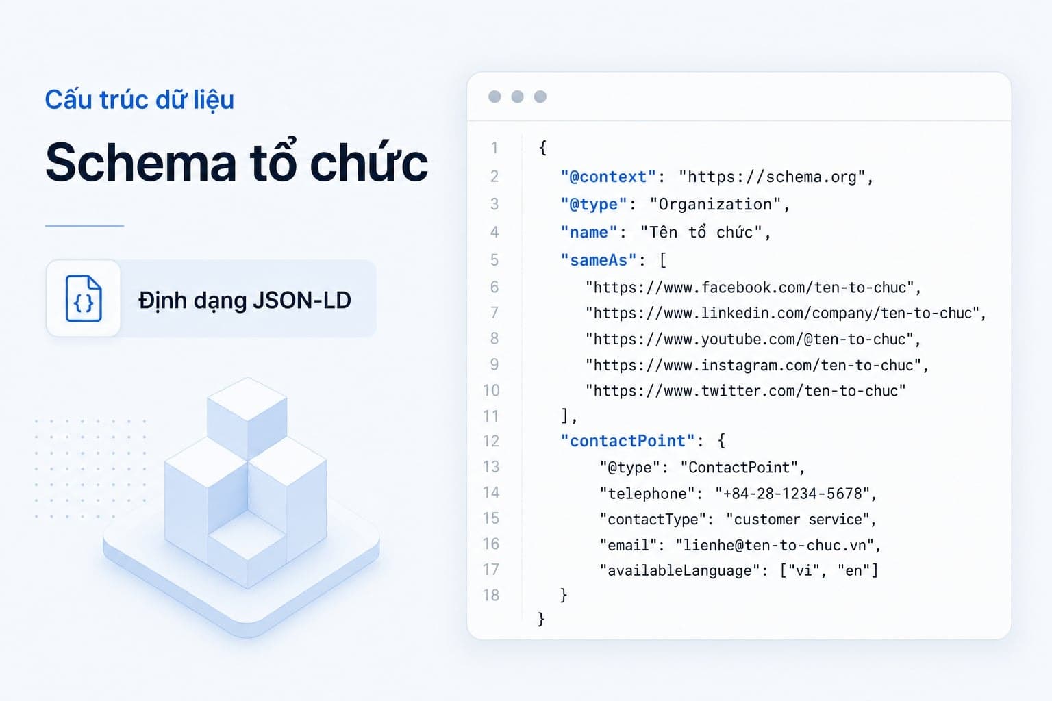 Cách tạo Organization Schema bằng JSON-LD kèm mẫu code dễ áp dụng