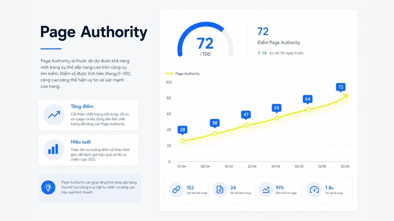 Cách hiểu đúng, kiểm tra và cải thiện Page Authority trong SEO