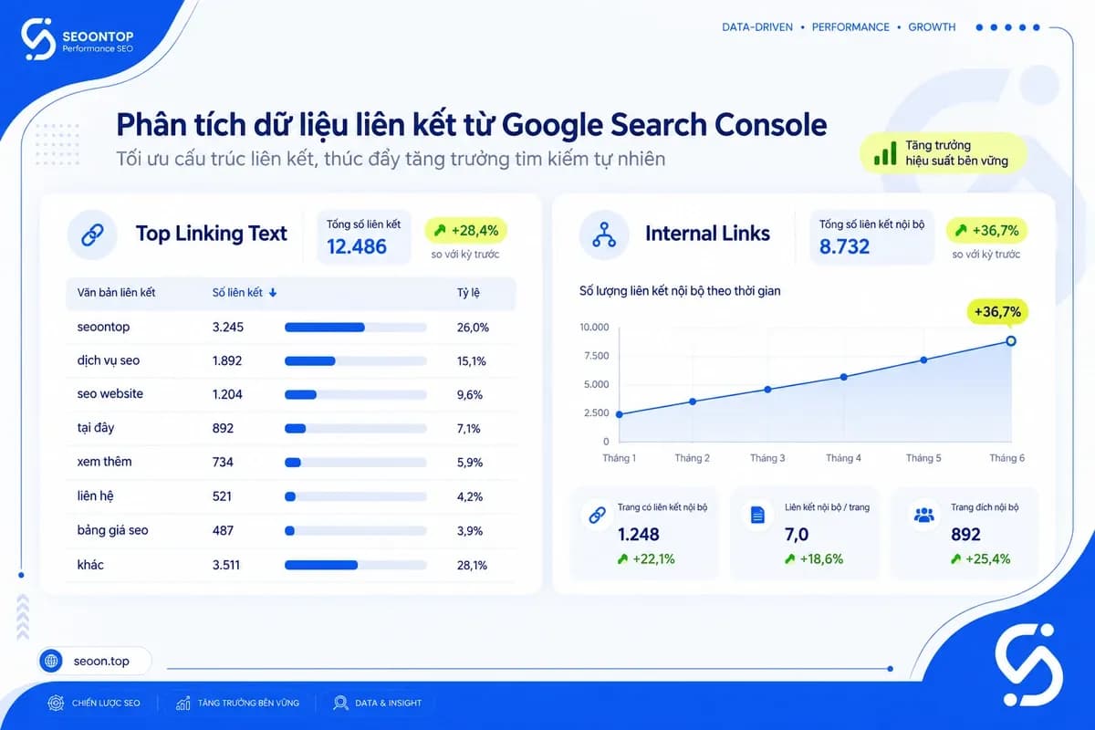 Dữ liệu anchor text và liên kết nội bộ trong GSC