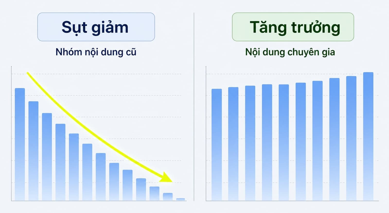 Tác động của Google Panda đến organic traffic website