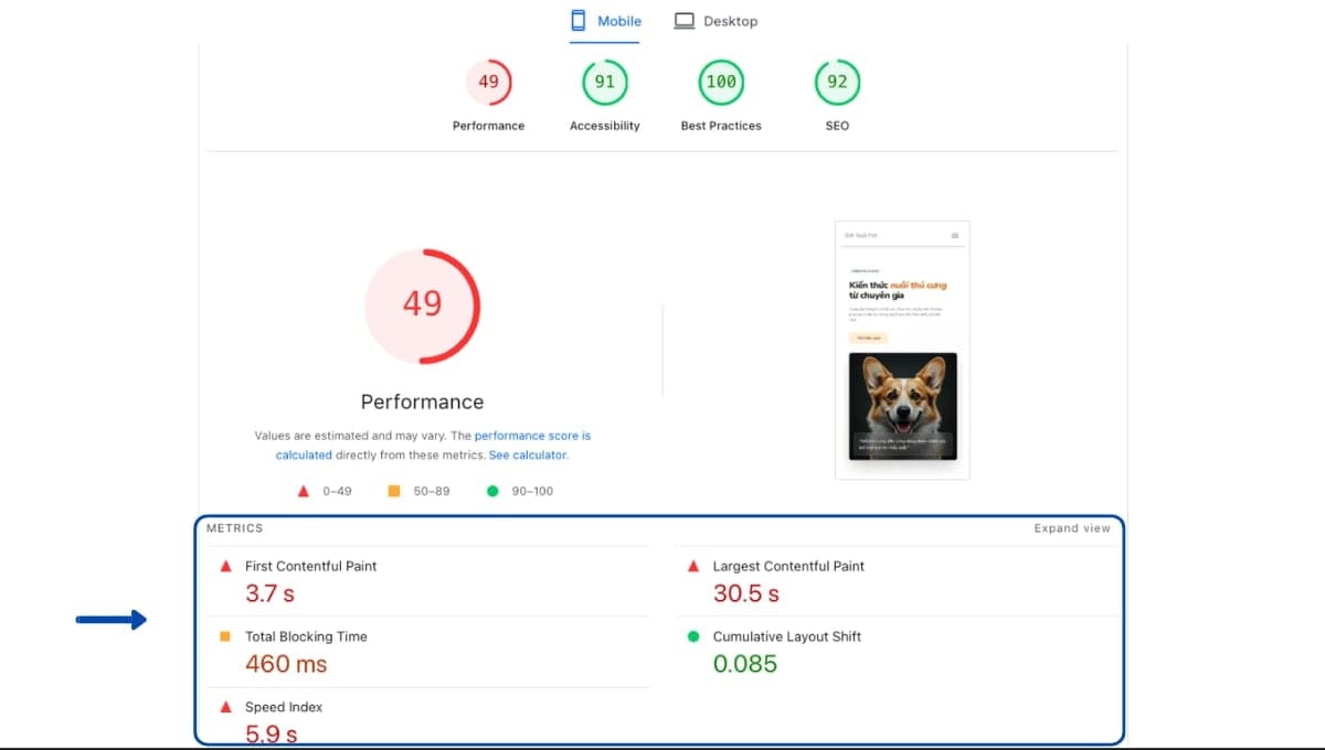 Kiểm tra hiệu suất bằng PageSpeed Insights