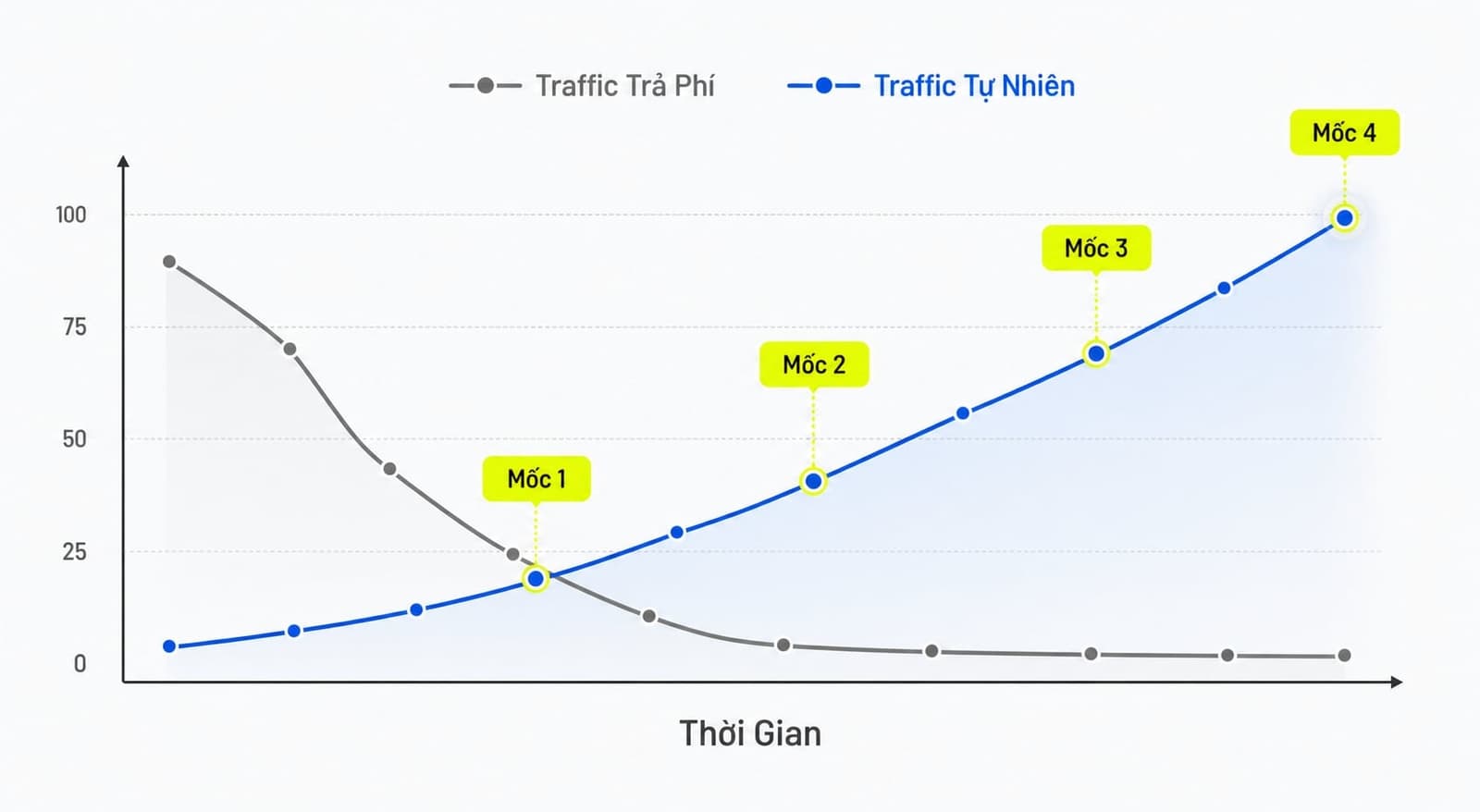 Organic Search quan trọng với website và doanh nghiệp
