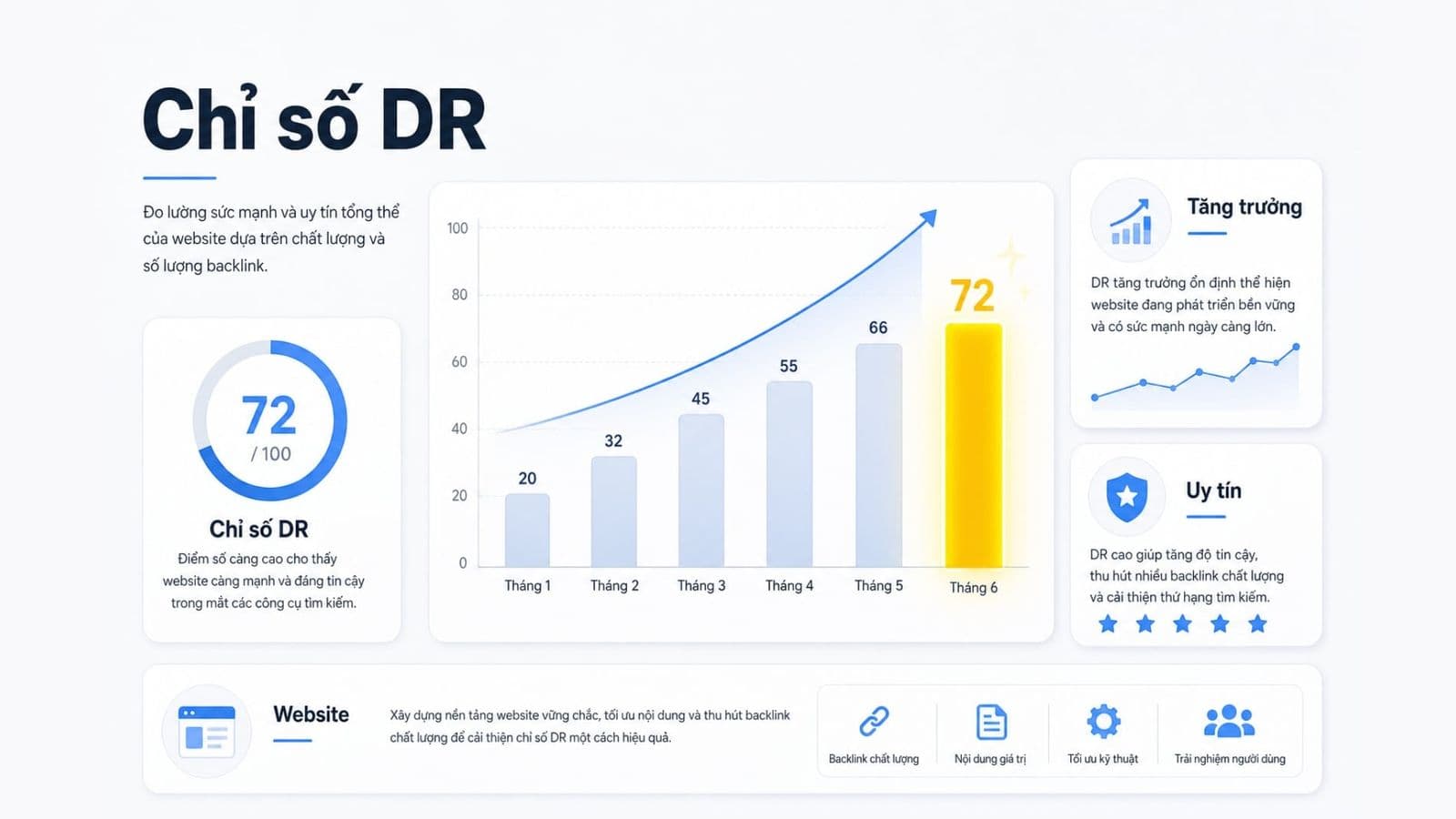 Cách hiểu đúng chỉ số Domain Rating trong SEO