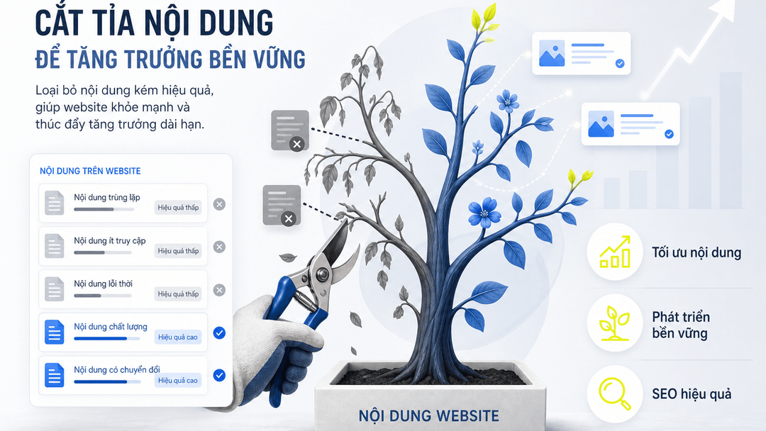 Content Pruning Là Gì? Hiểu Đúng Trước Khi Bắt Đầu