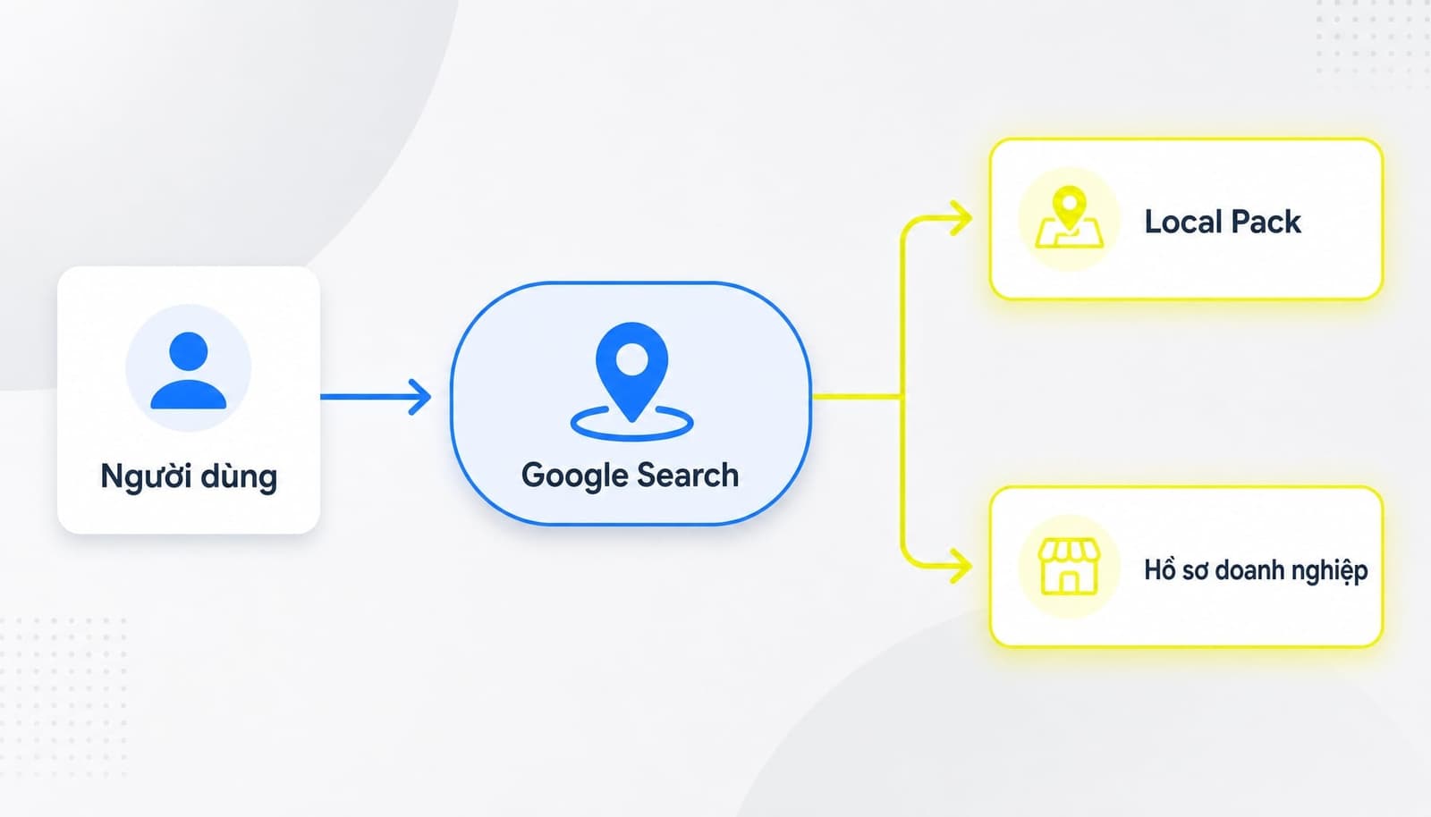 Google Business Profile hoạt động trên Google Search và Google Maps
