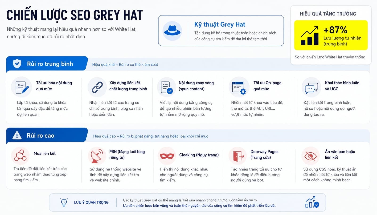 Các kỹ thuật Grey Hat SEO phổ biến và mức rủi ro