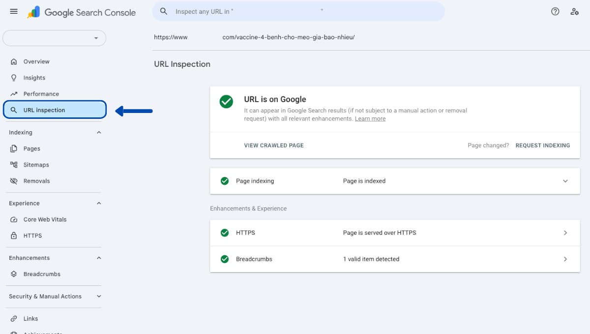 Dùng URL Inspection trong Google Search Console