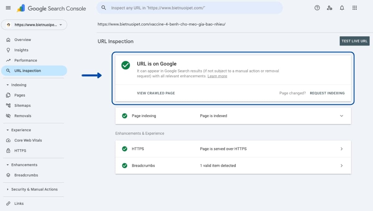 Kiểm tra index bằng Google Search Console