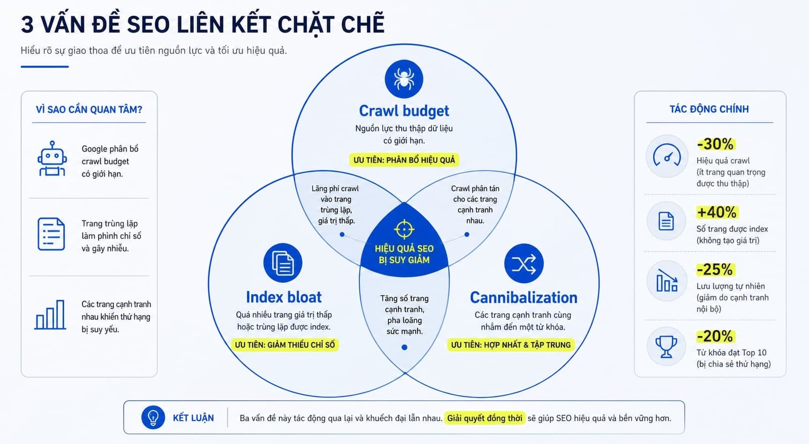 Sơ đồ phân biệt index bloat, crawl budget issue và keyword cannibalization