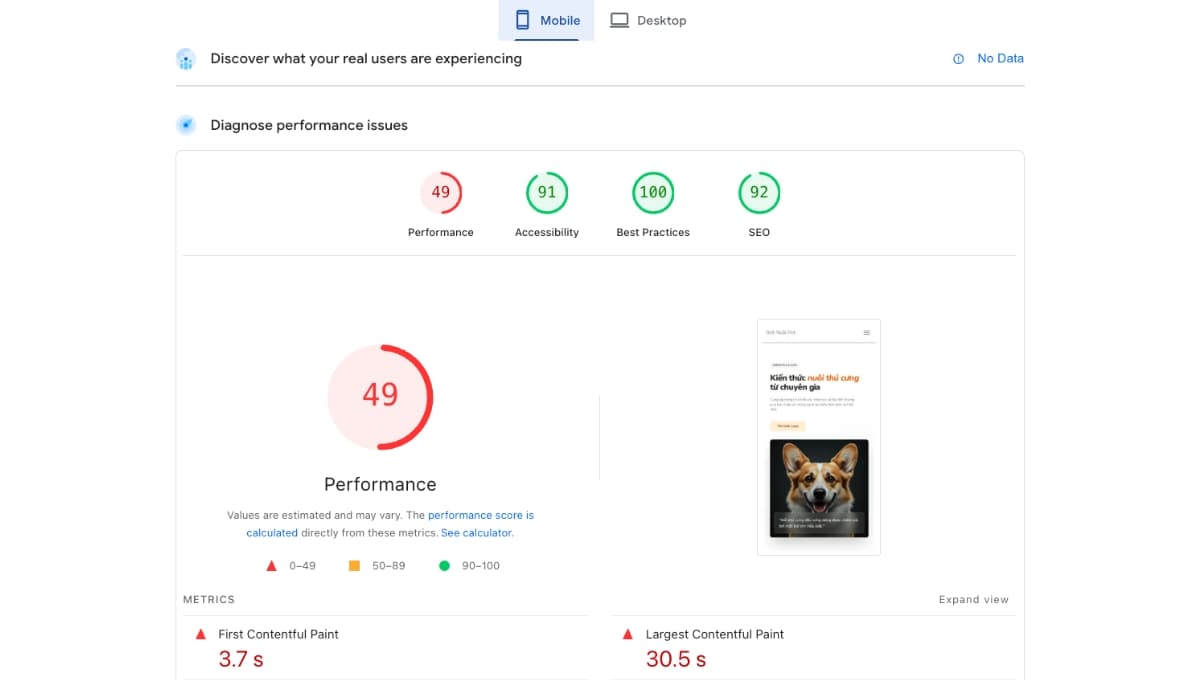 Cách kiểm tra tốc độ website bằng PageSpeed Insights